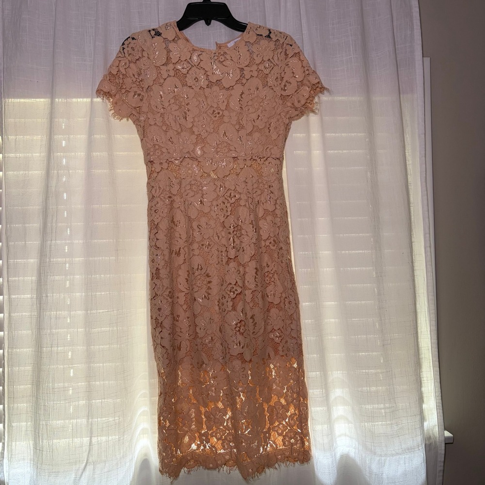 NSR Dress Women Small Blush Peach Floral Lace Sheath Short Sleeve CD9857 Midi